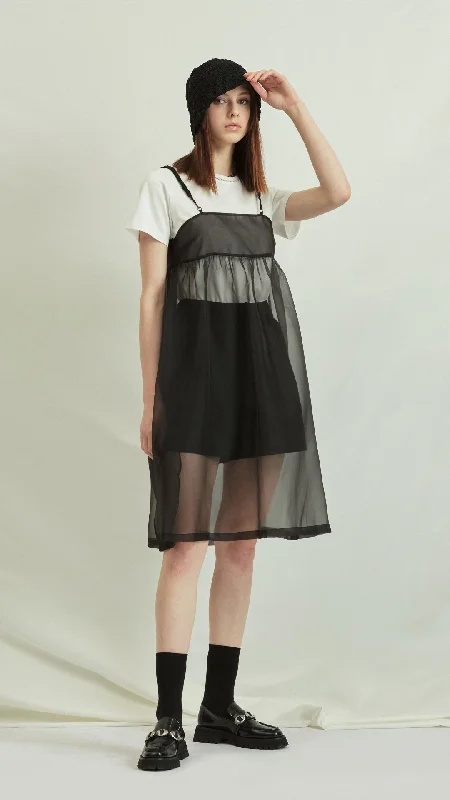 Single Layer Sheer Dress Boatneck Modish Everyday